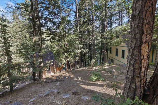 a view of a house with a tree