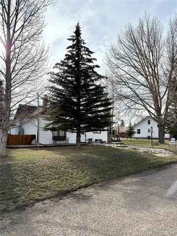 a view of a yard with a large tree