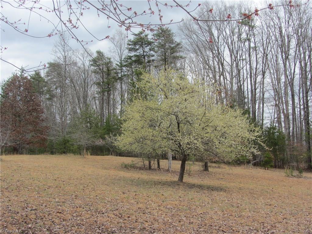 1201 Huffines Mill Road Madison, NC 27025 - Photo 24 of 26