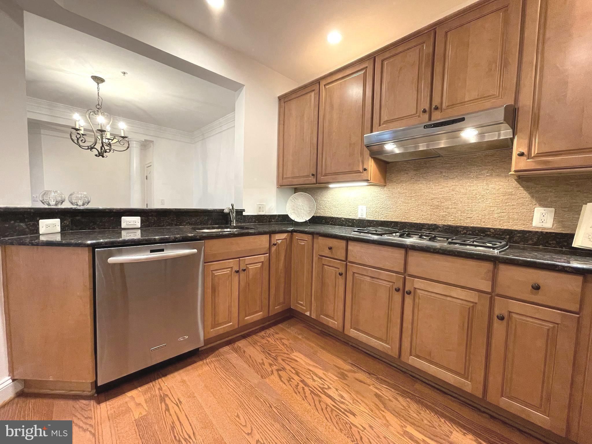 1781 Chain Bridge Road, Unit 201 McLean, VA 22102 - Photo 15 of 51 Gourmet Kitchen
