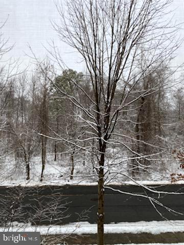 1781 Chain Bridge Road, Unit 201 McLean, VA 22102 - Photo 19 of 51 View from the unit!