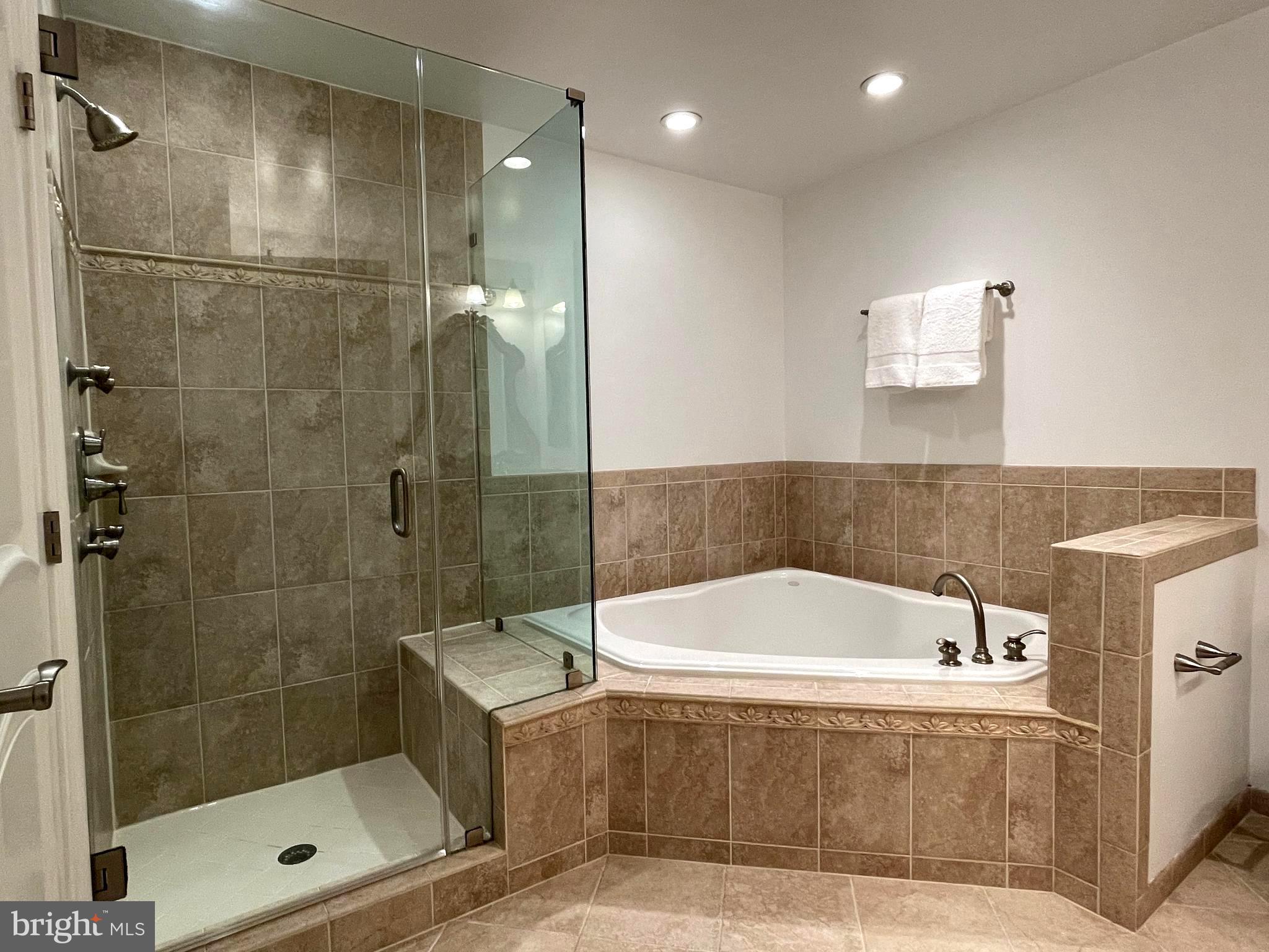 1781 Chain Bridge Road, Unit 201 McLean, VA 22102 - Photo 20 of 51 Primary Bathroom