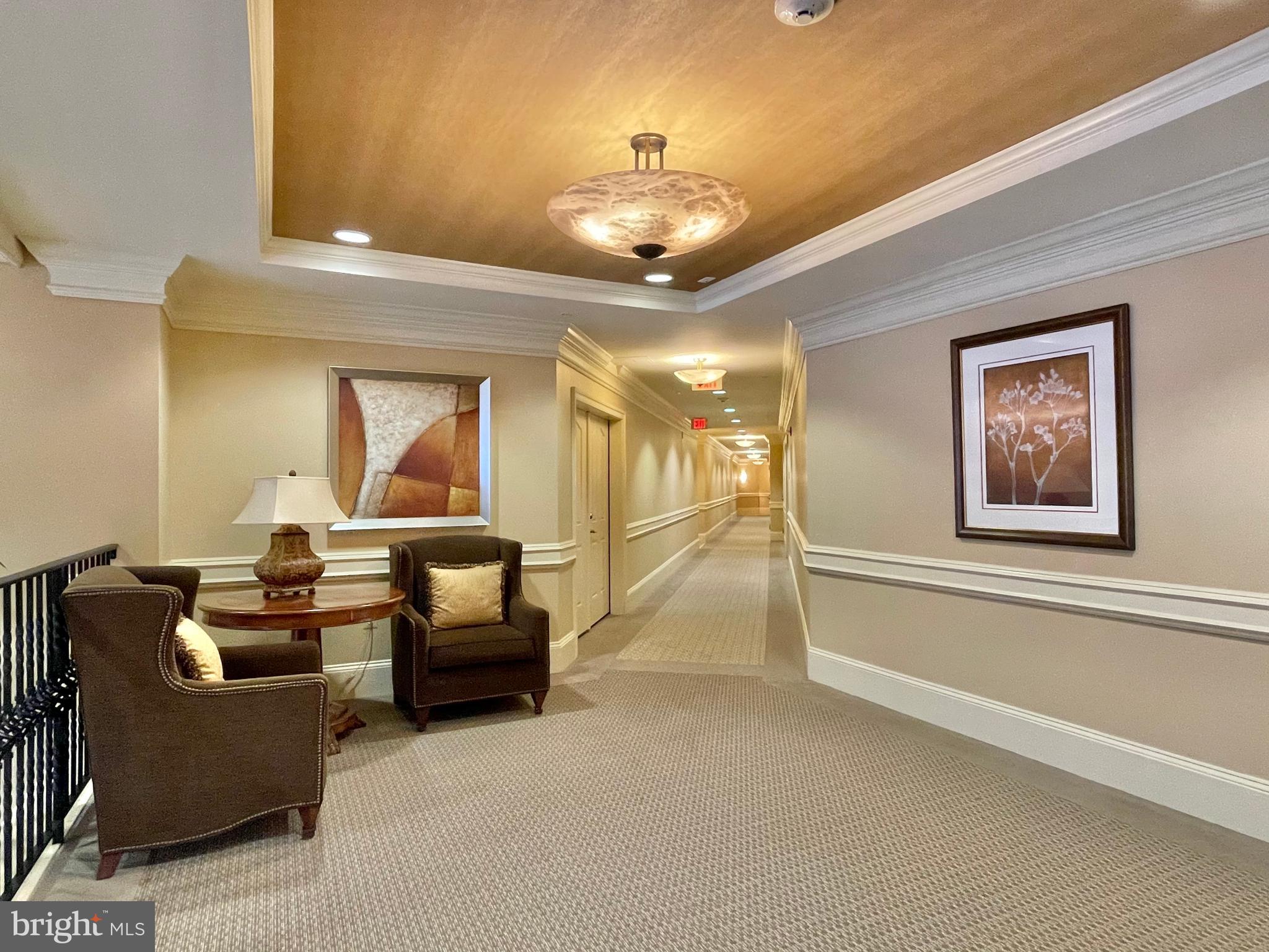 1781 Chain Bridge Road, Unit 201 McLean, VA 22102 - Photo 41 of 51 New Carpet throughout Common Areas