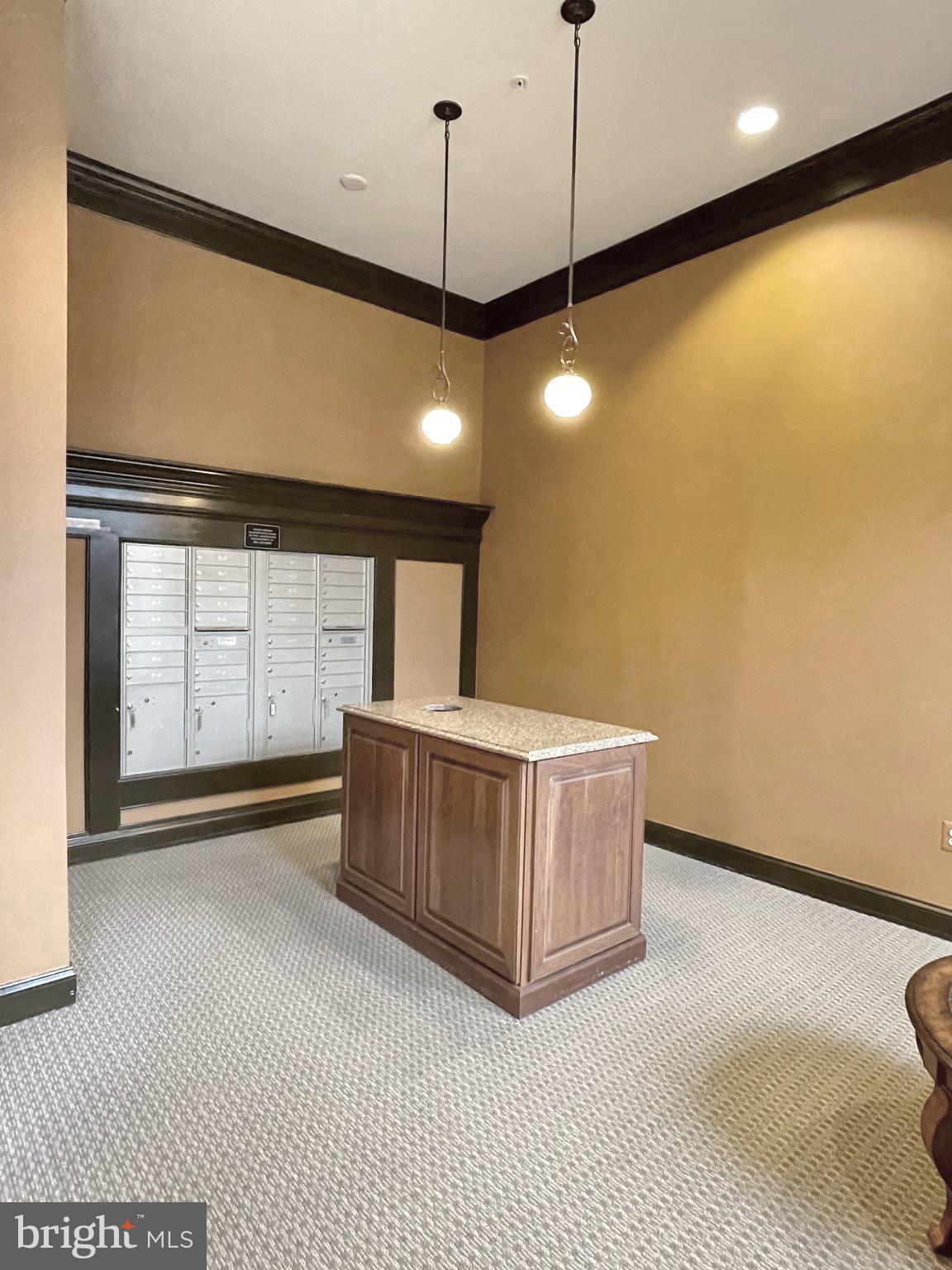 1781 Chain Bridge Road, Unit 201 McLean, VA 22102 - Photo 44 of 51 Mail Area just off Lobby