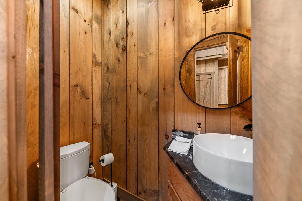 164 Waterdance Trail Blue Ridge, GA 30513 - Photo 39 of 97 Gallery Image 39