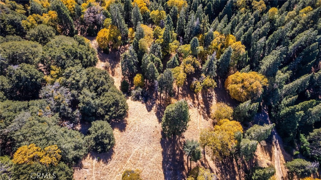 0 Mojave Road Cedarpines Park, CA 92322 - Photo 20 of 41