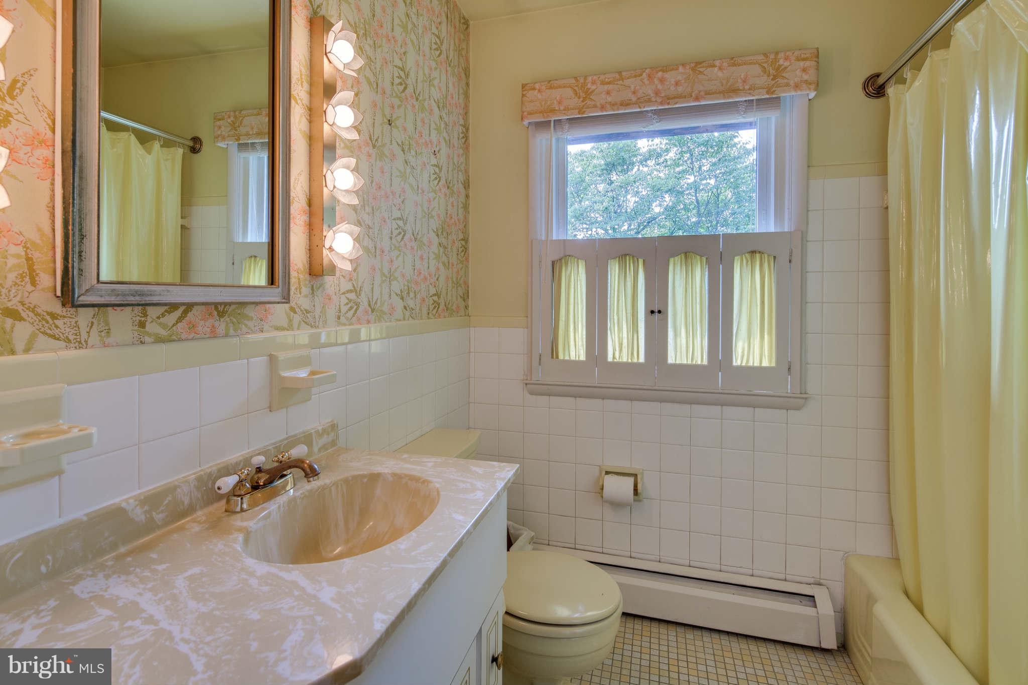 9206 Spring Valley Road Ellicott City, MD 21043 - Photo 24 of 29 Bath