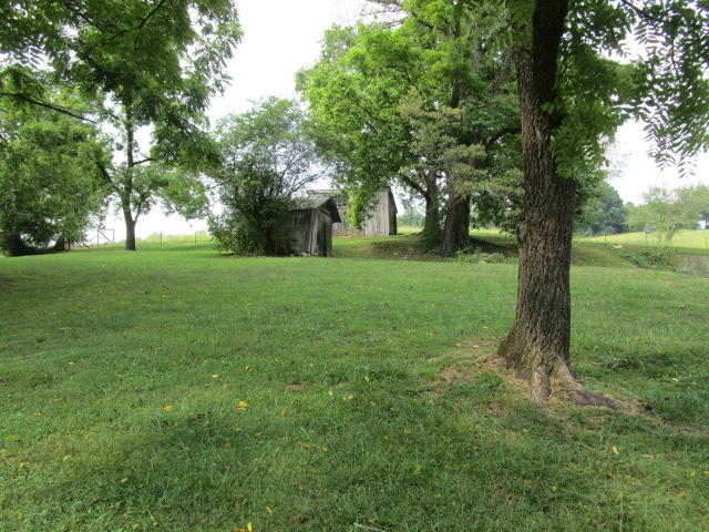 1189 Indian Ridge Road Blaine, TN 37709 - Photo 3 of 10 IMG_3109