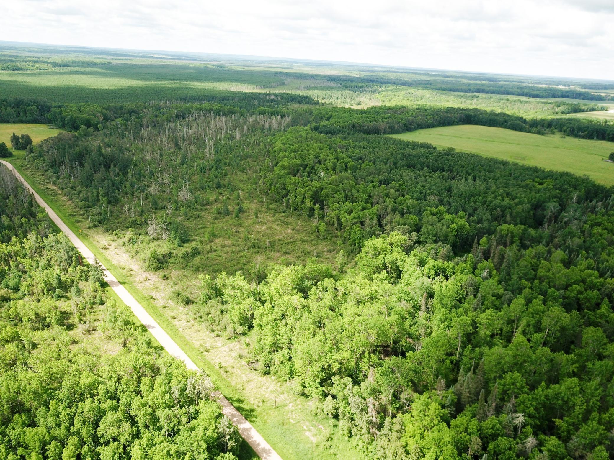 Tbd1 Mud Lake Road Bagley, MN 56621 - Photo 23 of 31