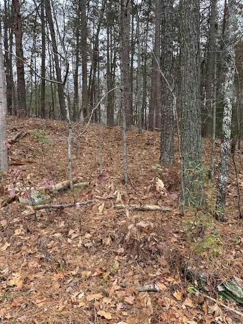 0 Cole Lake Road Dallas, GA 30157 - Photo 11 of 11