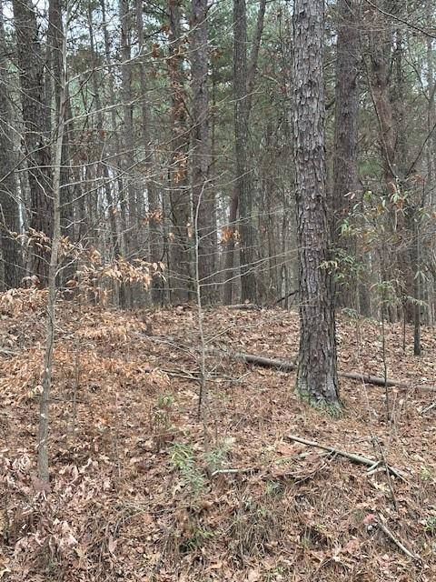 0 Cole Lake Road Dallas, GA 30157 - Photo 2 of 11