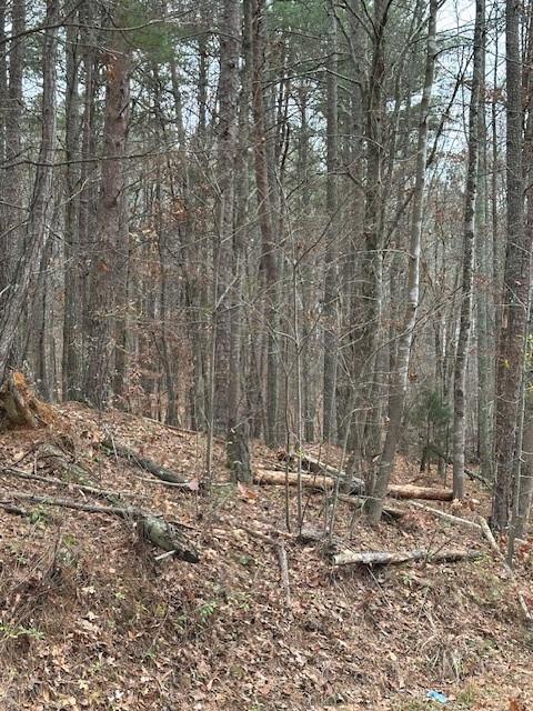 0 Cole Lake Road Dallas, GA 30157 - Photo 3 of 11