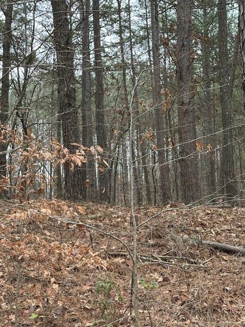 0 Cole Lake Road Dallas, GA 30157 - Photo 5 of 11