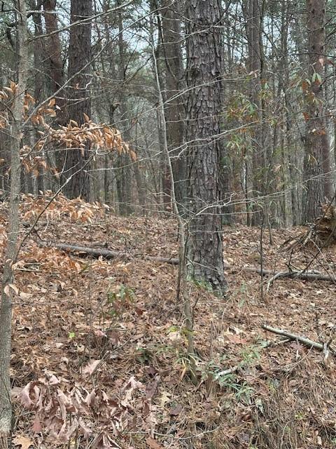 0 Cole Lake Road Dallas, GA 30157 - Photo 6 of 11