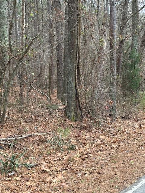 0 Cole Lake Road Dallas, GA 30157 - Photo 7 of 11