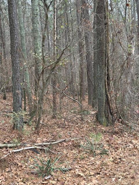 0 Cole Lake Road Dallas, GA 30157 - Photo 8 of 11