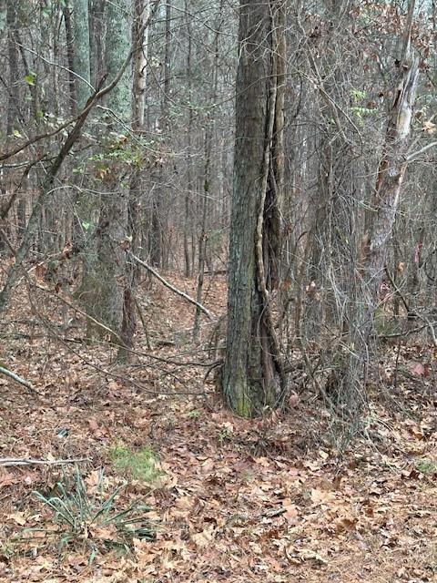 0 Cole Lake Road Dallas, GA 30157 - Photo 9 of 11