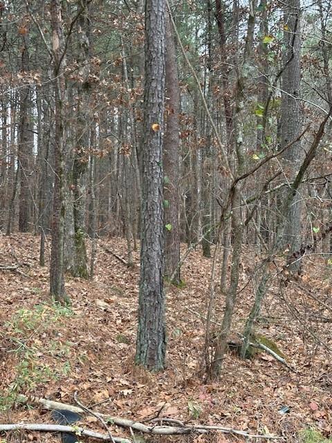 0 Cole Lake Road Dallas, GA 30157 - Photo 10 of 11