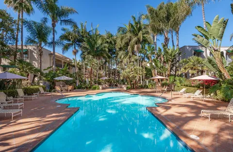 a view of a yard with palm trees