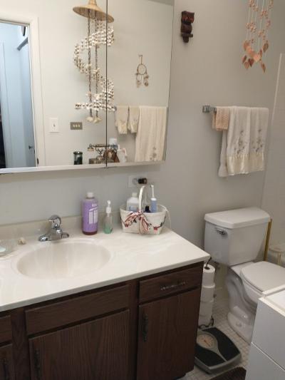 613 West Central Road, Unit A8 Mount Prospect, IL 60056 - Photo 18 of 23 a bathroom with a sink and a toilet