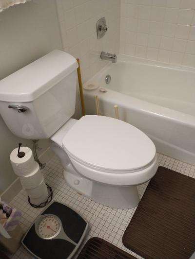 613 West Central Road, Unit A8 Mount Prospect, IL 60056 - Photo 19 of 23 a bathroom with a toilet and a mirror