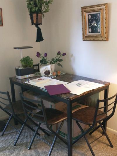 613 West Central Road, Unit A8 Mount Prospect, IL 60056 - Photo 10 of 23 a dining room with furniture and potted plants
