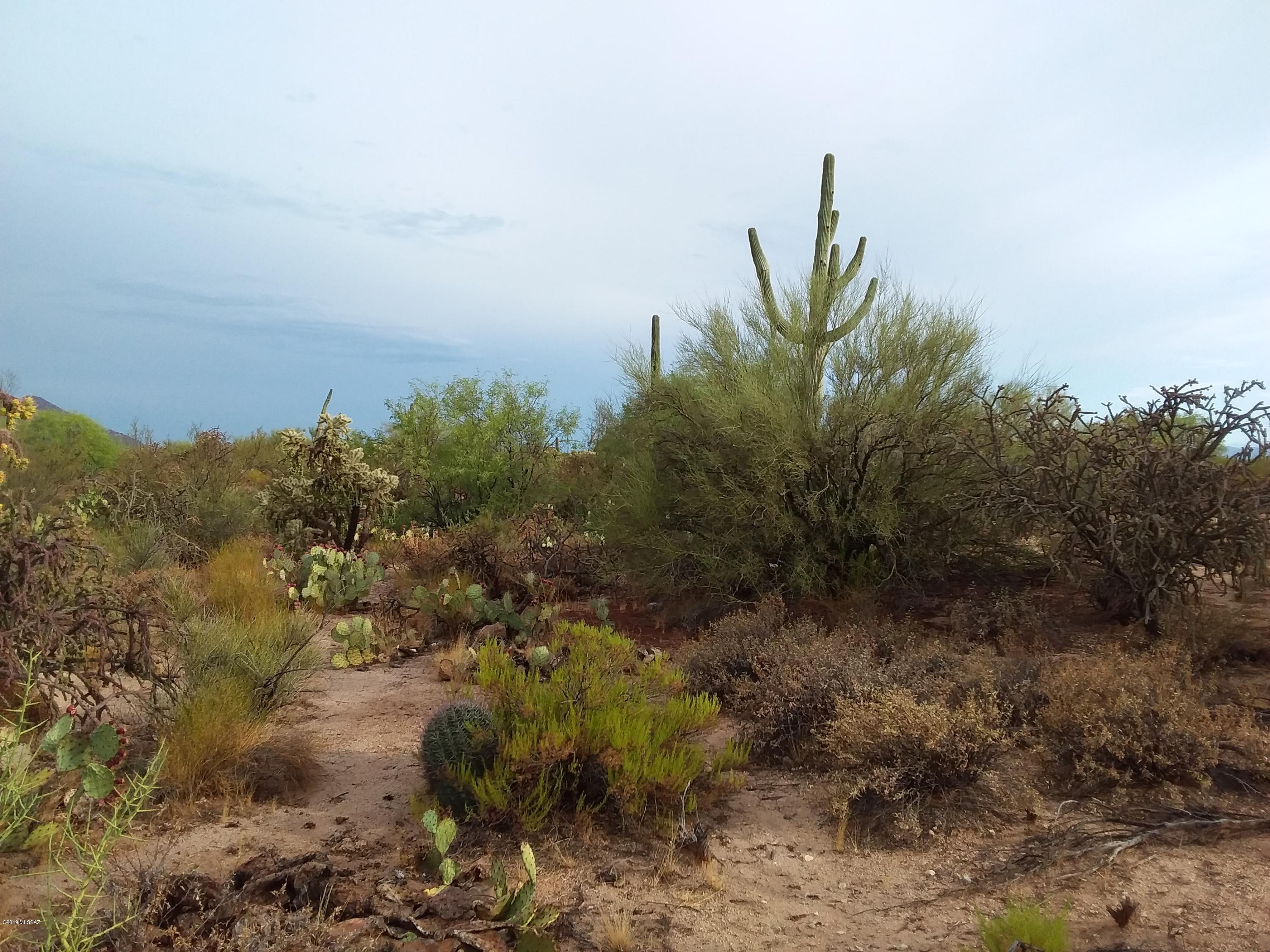2315 West Tangerine Road Tucson, AZ 85742 - Photo 3 of 27