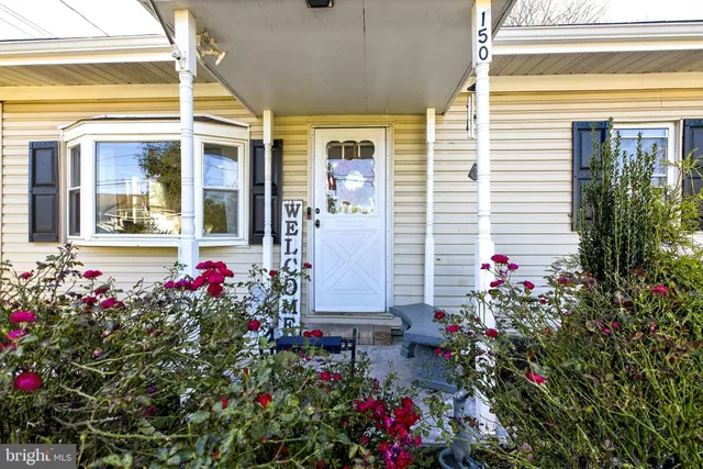 a potted plant sitting in front of a house