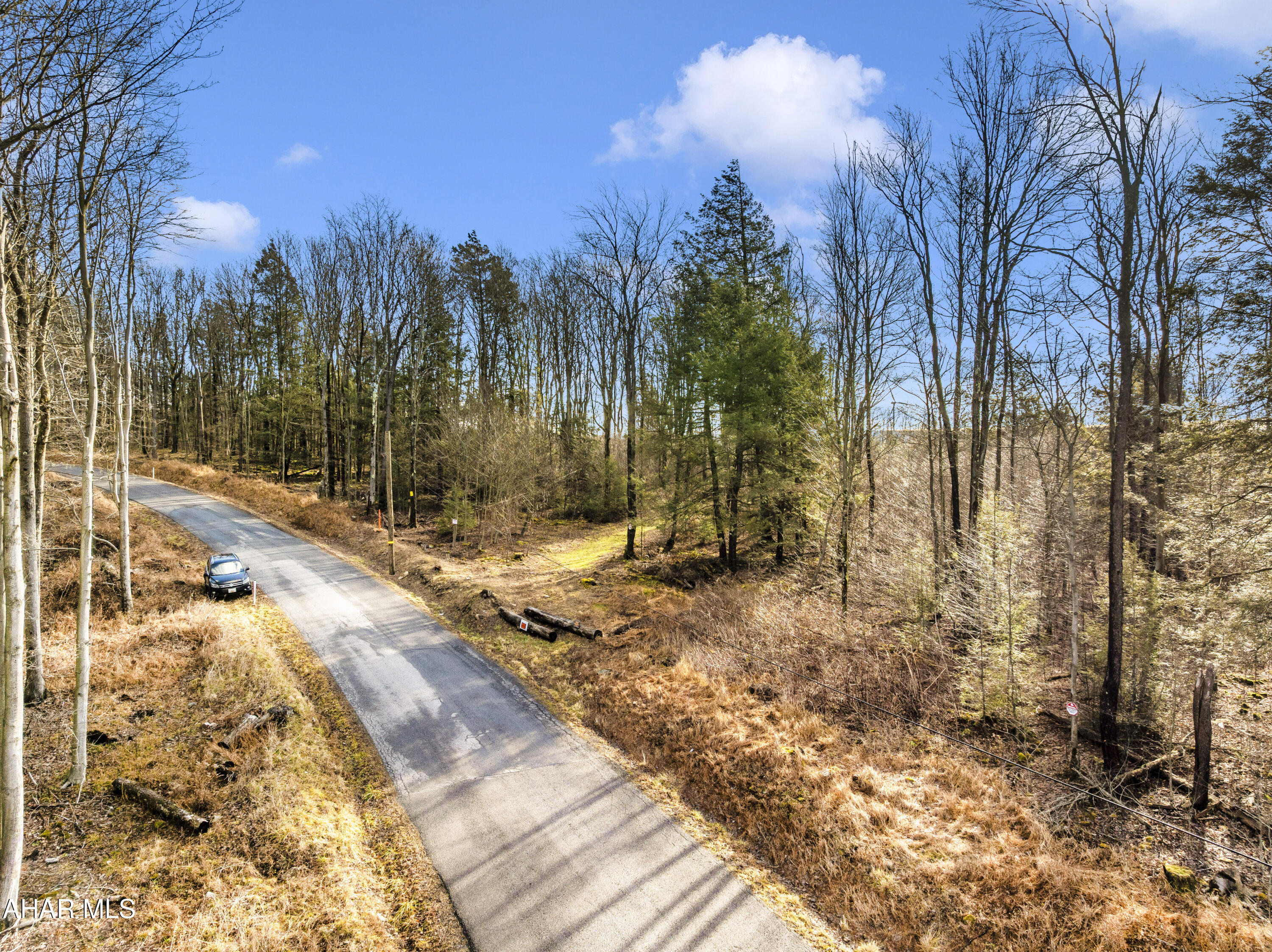 0 Lot 6 Mountain Road Road Lilly, PA 15938 - Photo 5 of 33
