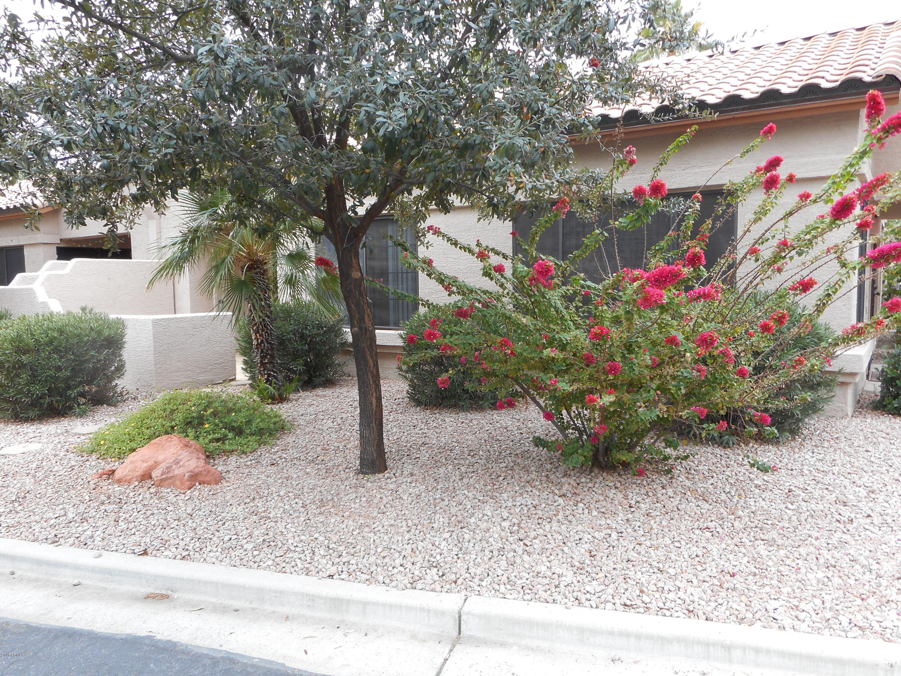 14300 West Bell Road, Unit 279 Surprise, AZ 85374 - Photo 12 of 12 DSCN0310