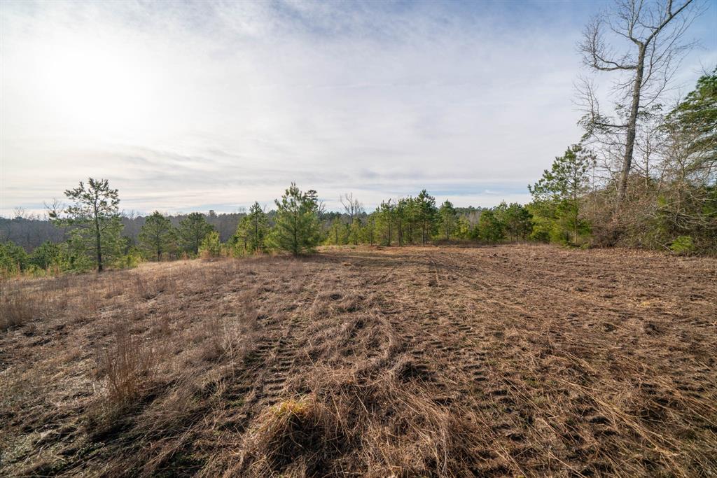 Tbd Athens Church Road Hallsville, TX 75650 - Photo 11 of 29 a view of an outdoor space and a yard