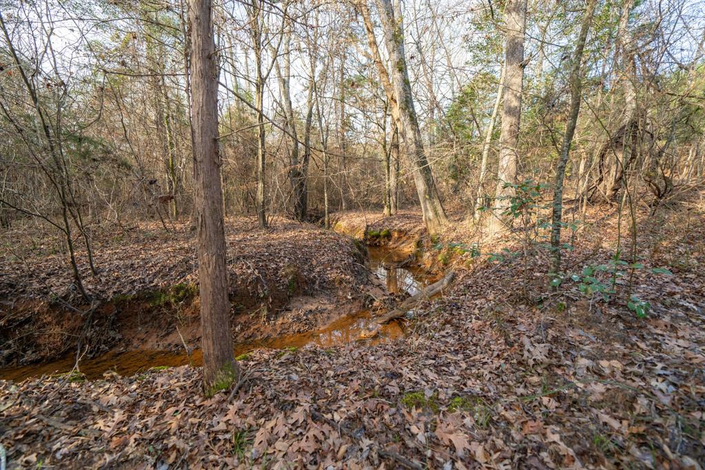 Tbd Athens Church Road Hallsville, TX 75650 - Photo 16 of 29 a view of a yard with large trees