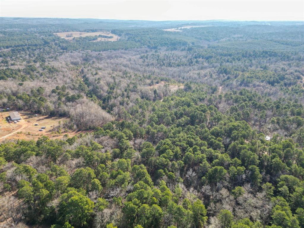 Tbd Athens Church Road Hallsville, TX 75650 - Photo 18 of 29 a view of a dry yard