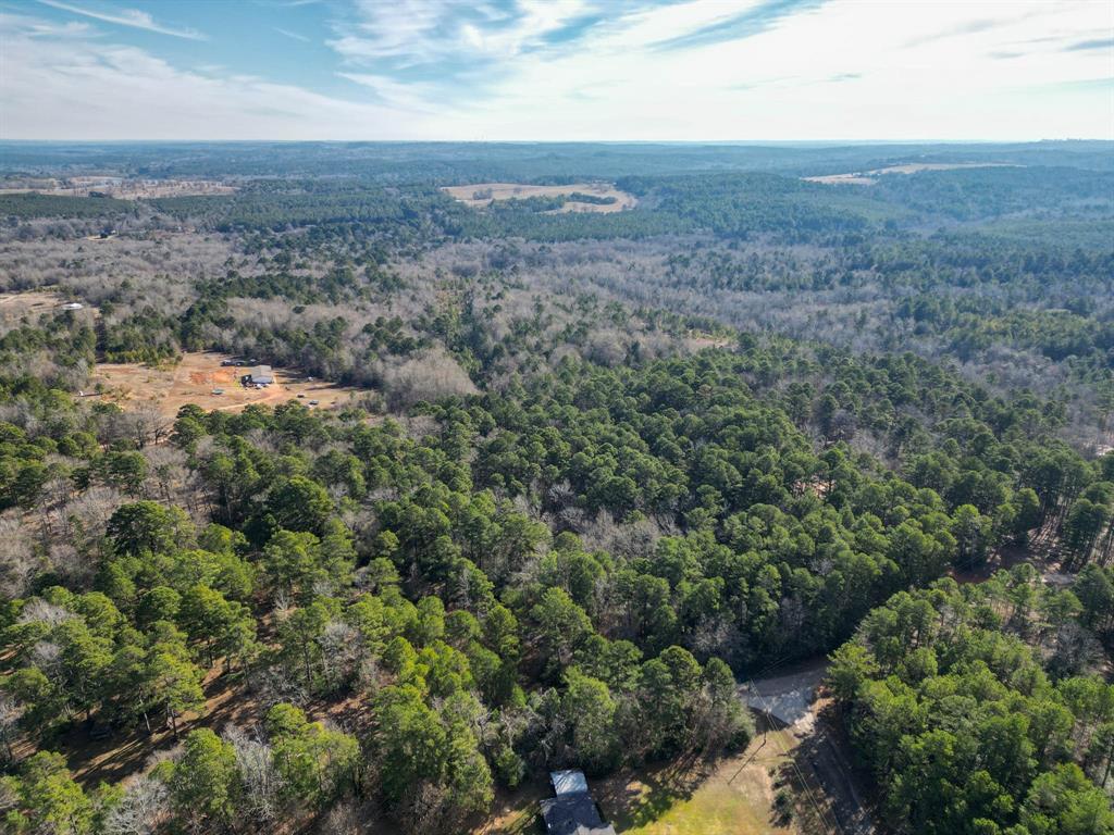 Tbd Athens Church Road Hallsville, TX 75650 - Photo 19 of 29 an aerial view of house with yard and mountain view in back