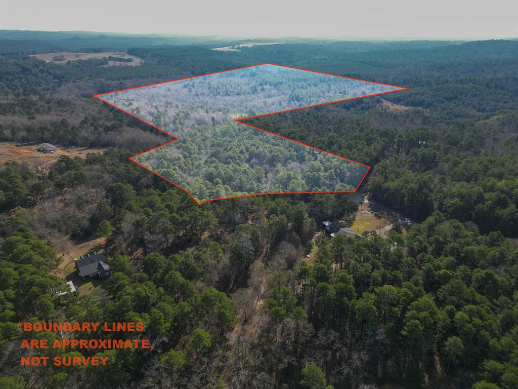 Tbd Athens Church Road Hallsville, TX 75650 - Photo 2 of 29 an aerial view of a house