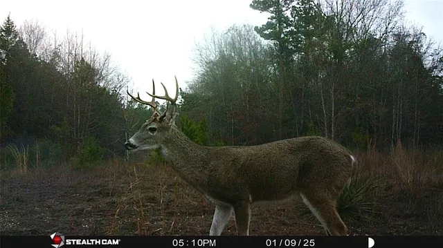 a view of outdoor seating area