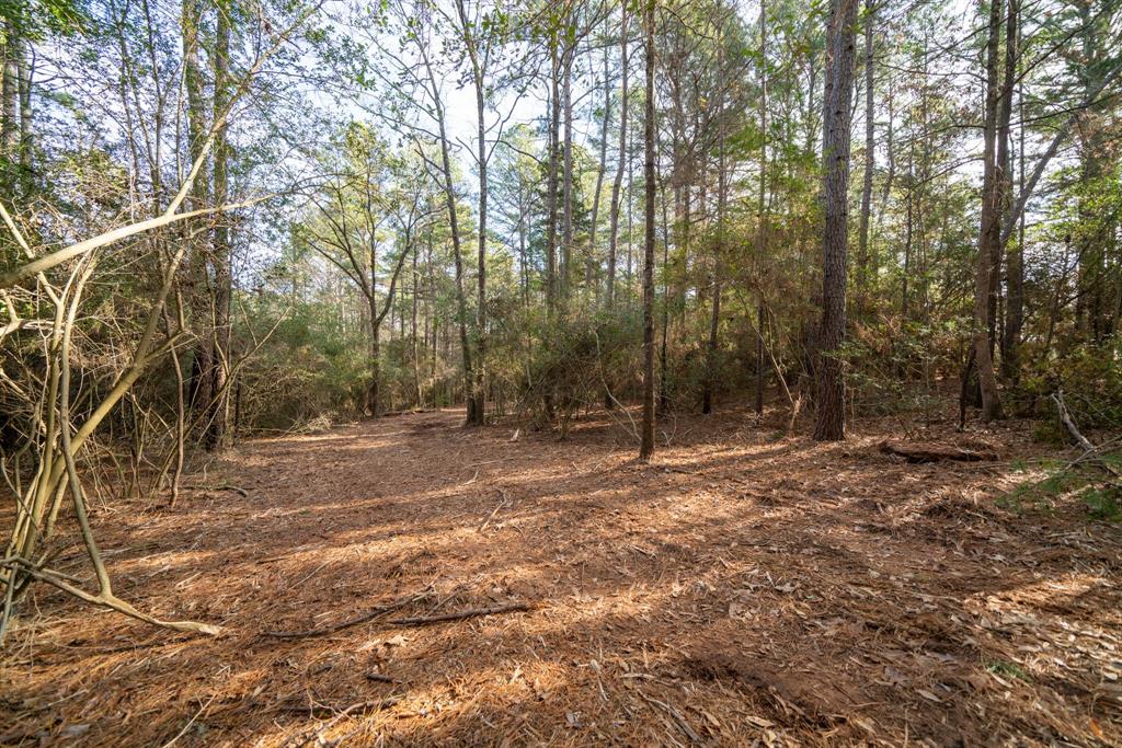 Tbd Athens Church Road Hallsville, TX 75650 - Photo 23 of 29 a backyard of a house with lots of trees