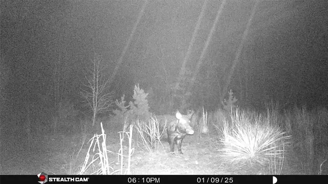 a view of a wooden floor in a room