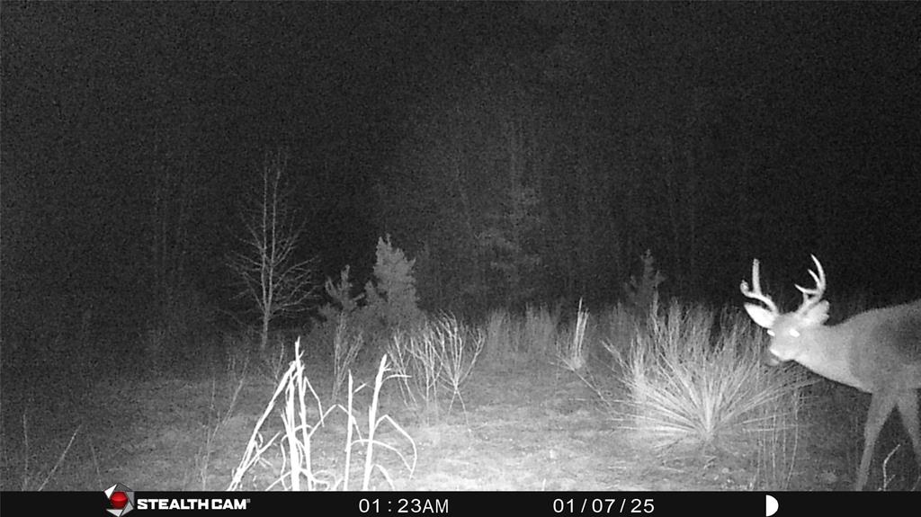 Tbd Athens Church Road Hallsville, TX 75650 - Photo 29 of 29 a view of a yard