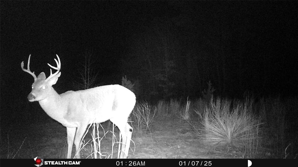 Tbd Athens Church Road Hallsville, TX 75650 - Photo 3 of 29 a close view of kitchen island with a sink