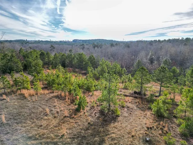 an aerial view of residential house and green space
