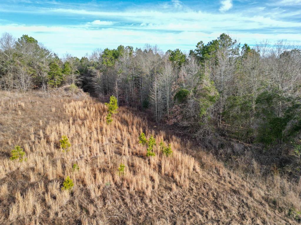 Tbd Athens Church Road Hallsville, TX 75650 - Photo 5 of 29 a view of a yard with wooden fence