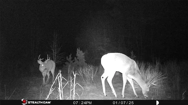 a view of a chandelier