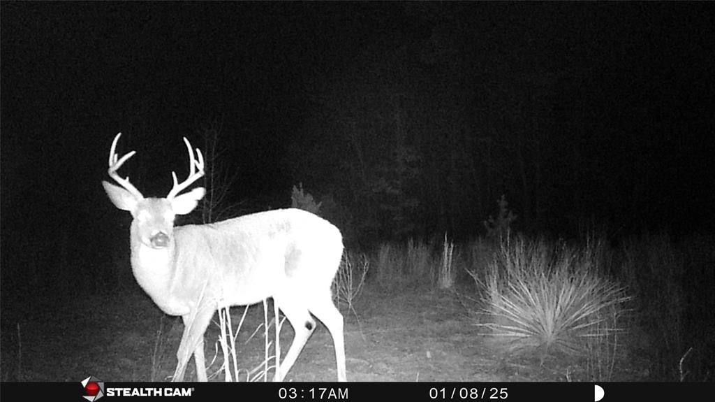 Tbd Athens Church Road Hallsville, TX 75650 - Photo 9 of 29 a view of entryway with wooden floor
