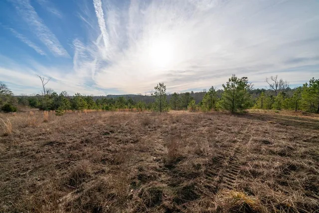 a view of a field of grass and trees