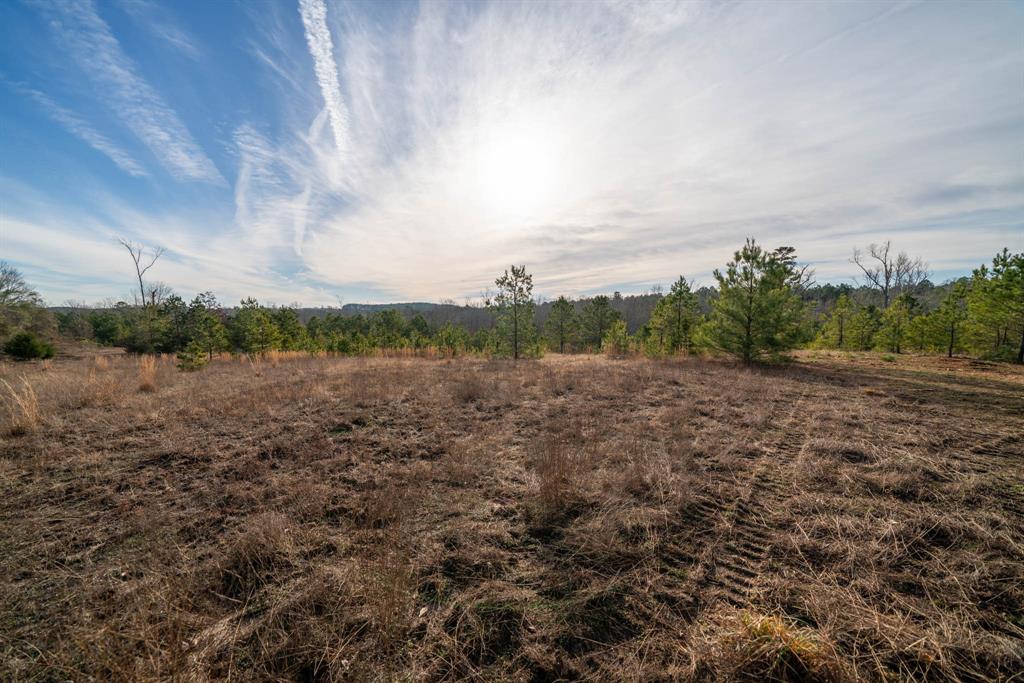 Tbd Athens Church Road Hallsville, TX 75650 - Photo 10 of 29 a view of a field of grass and trees