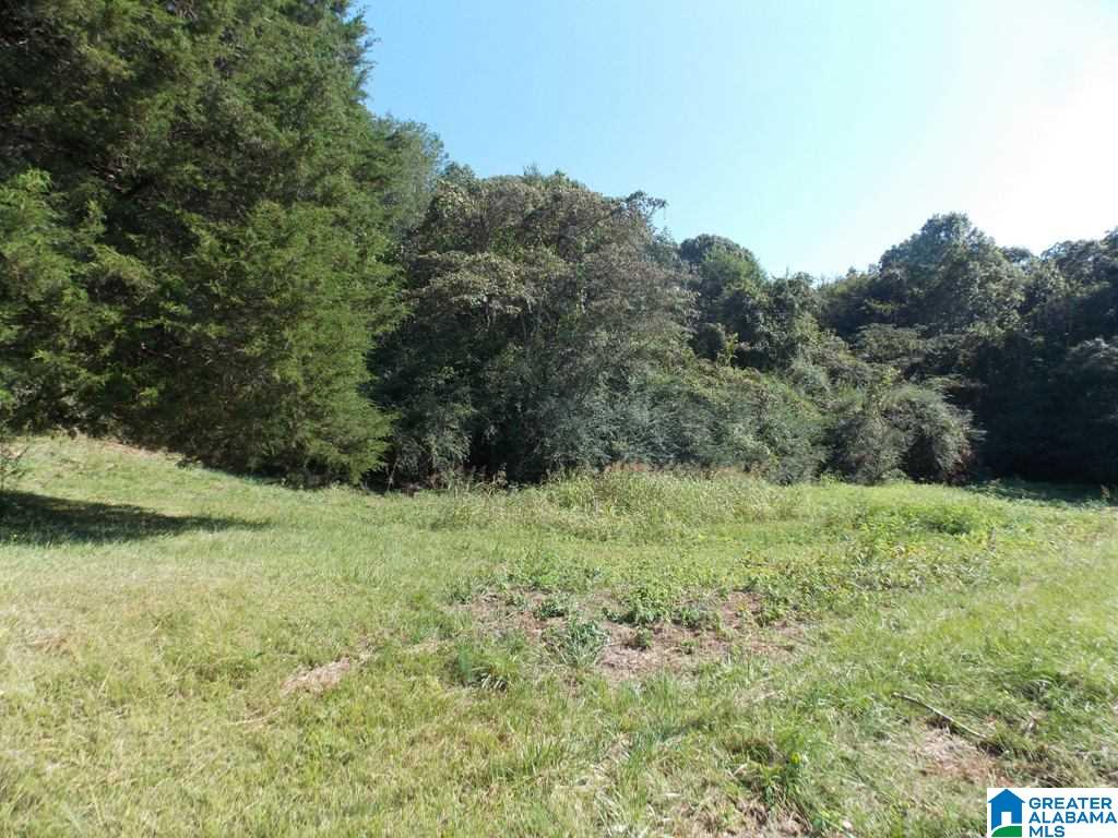 375 Marble Quarry Road, Unit 7 ACRES Talladega, AL 35160 - Photo 22 of 33