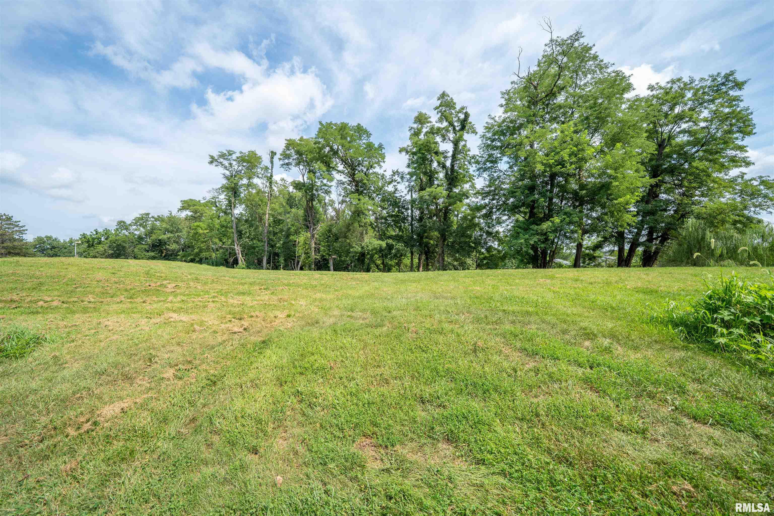 Country View Drive Peoria, IL 61604 - Photo 3 of 11