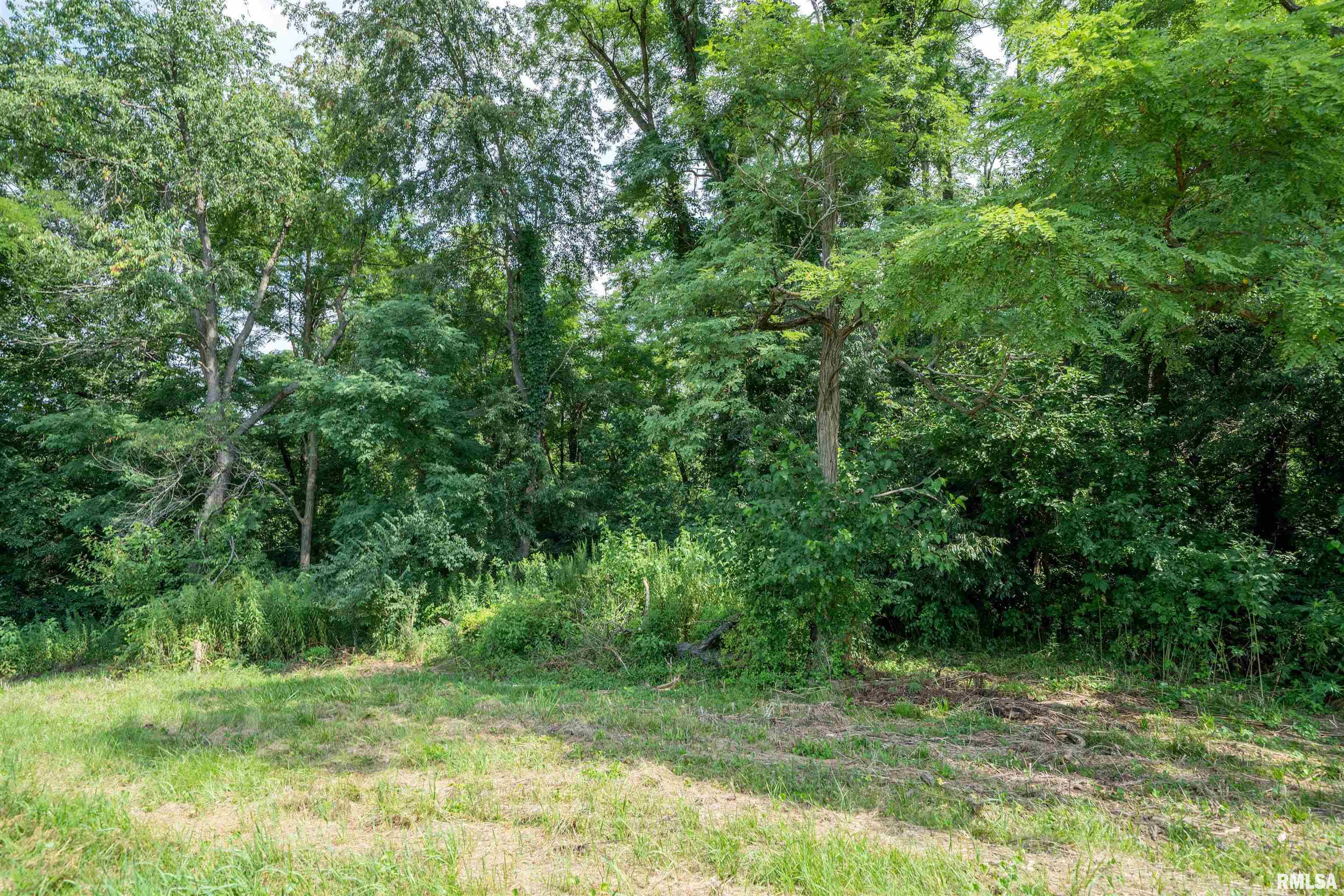 Country View Drive Peoria, IL 61604 - Photo 8 of 11