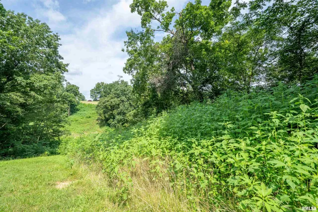 $125,000 | Country View Drive, Peoria, IL 61604